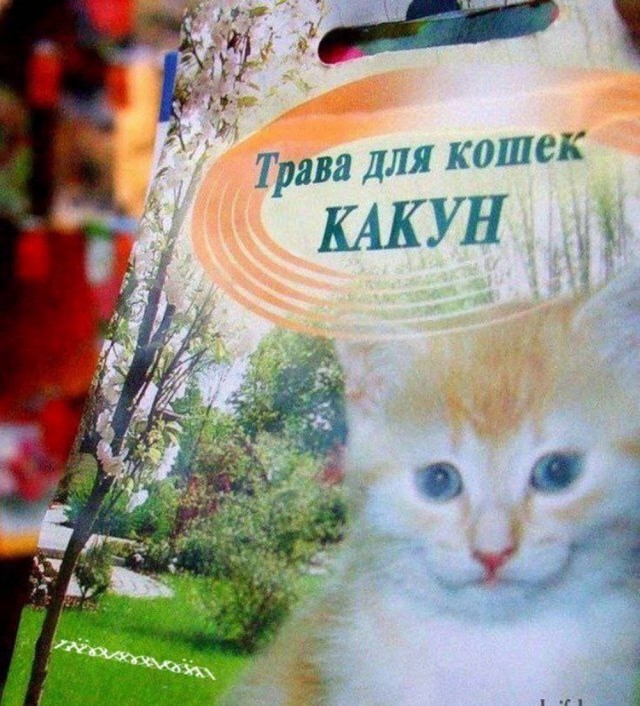 Нуштош. Лужа истекшего периода (s5e3)