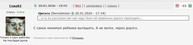 В Балашихе родители перевозили дочь на санках через пешеходный переход