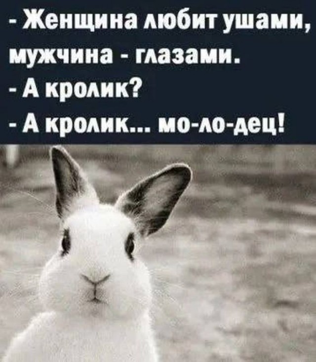 Субботние картинки