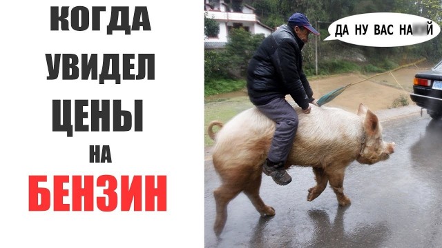 Объясняется словом "пи@оры"