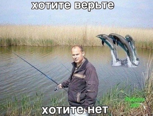 Среды картинки