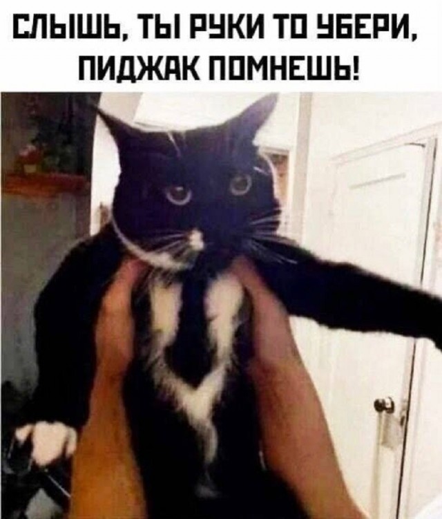 Так себе картинки 15.06.26