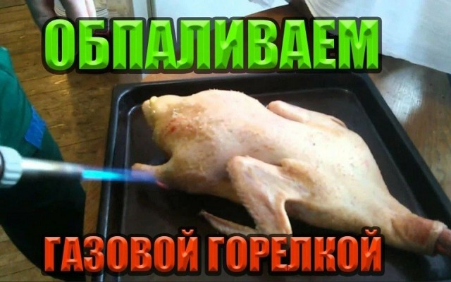 Женщины странные существа