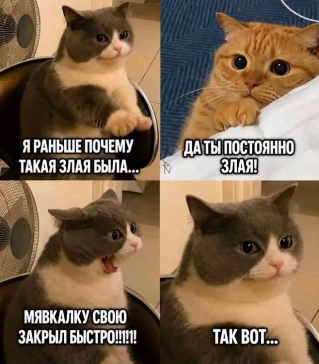 Картинки на среду