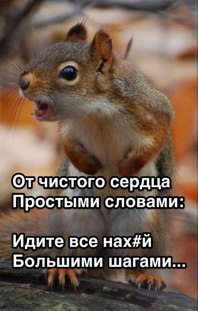 Ем
