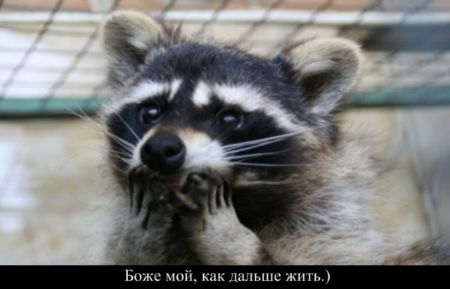 Профессиональная моржующая нудистка