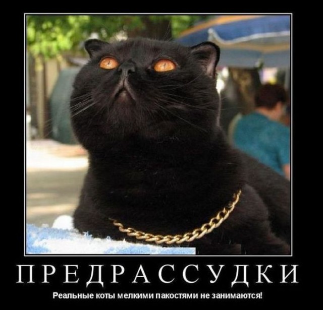 Подборка демотиваторов