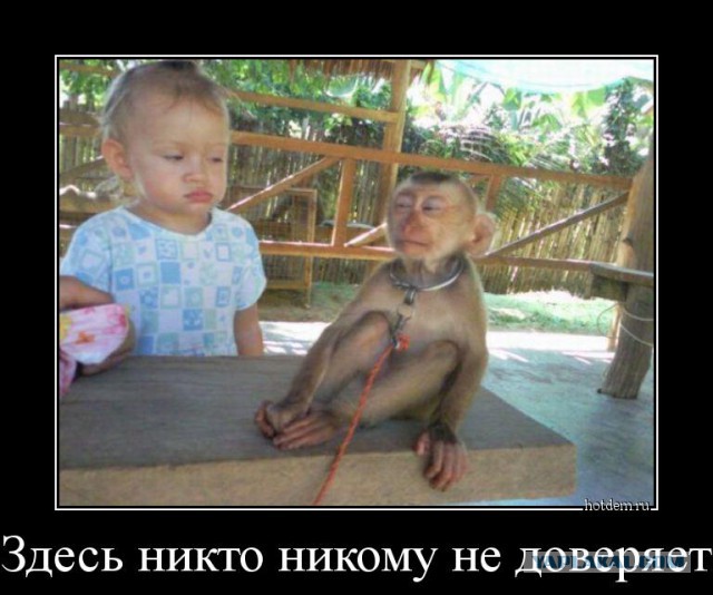 Подборка демотиваторов