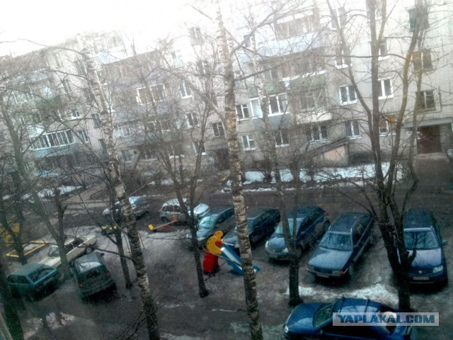 Водители-свиньи!