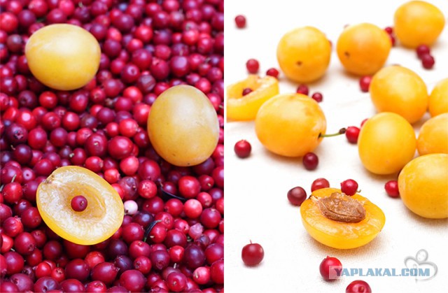 Визуализируем свои ники!