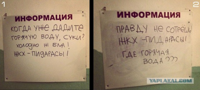 Забавные картинки из Сети