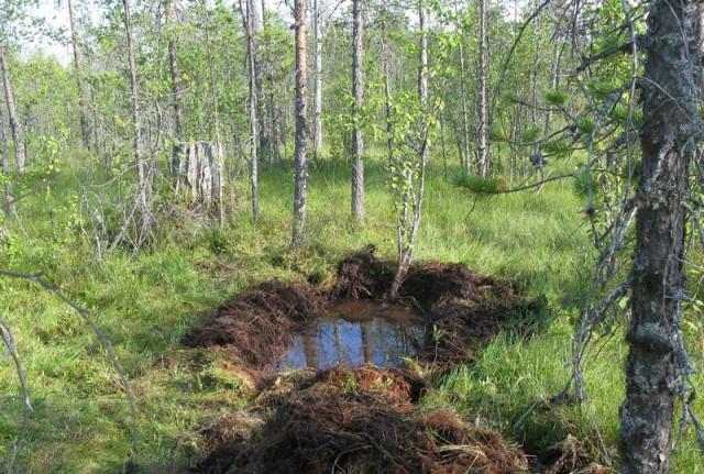 Эхо войны. История павшего красноармейца из санитарной роты