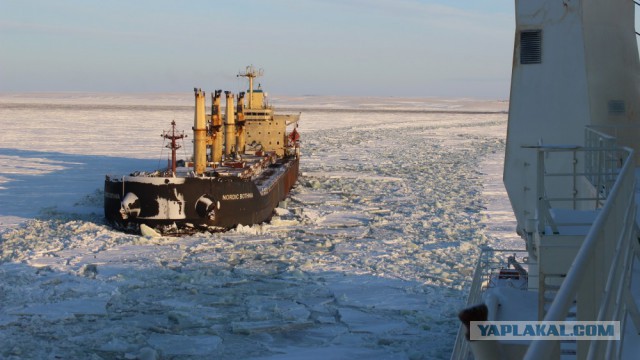 Отвод балкера NORDIC BOTHNIA от причала атомным ледоколом ВАЙГАЧ.