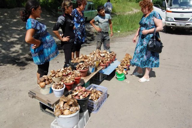 Сегодня я узнал страшную и отвратительную тайну!