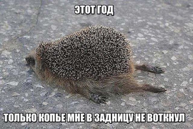 Подборка интересных и веселых картинок