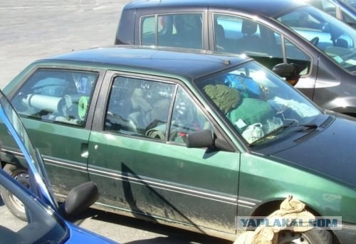 Дачный сезон (3 фото)