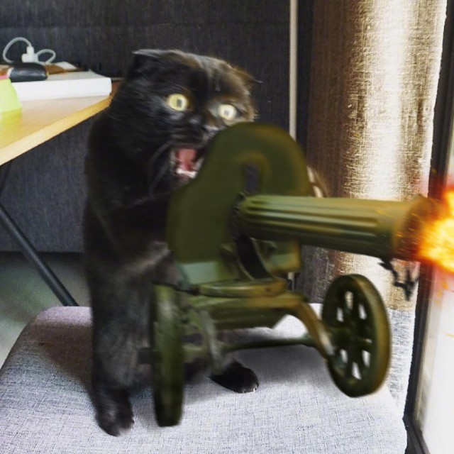 Воооот такую мышь вчера поймал!