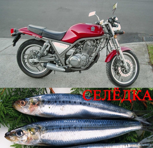 Клички у автомобилей