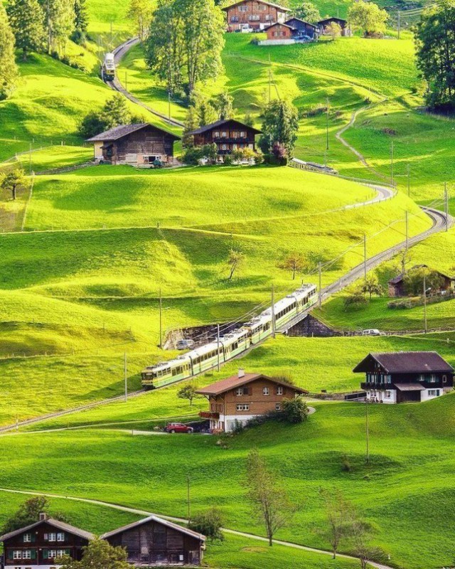 Красивые фото из сети