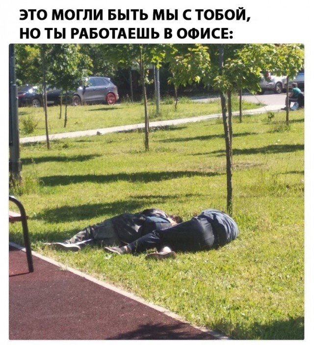 Нестандартный юмор