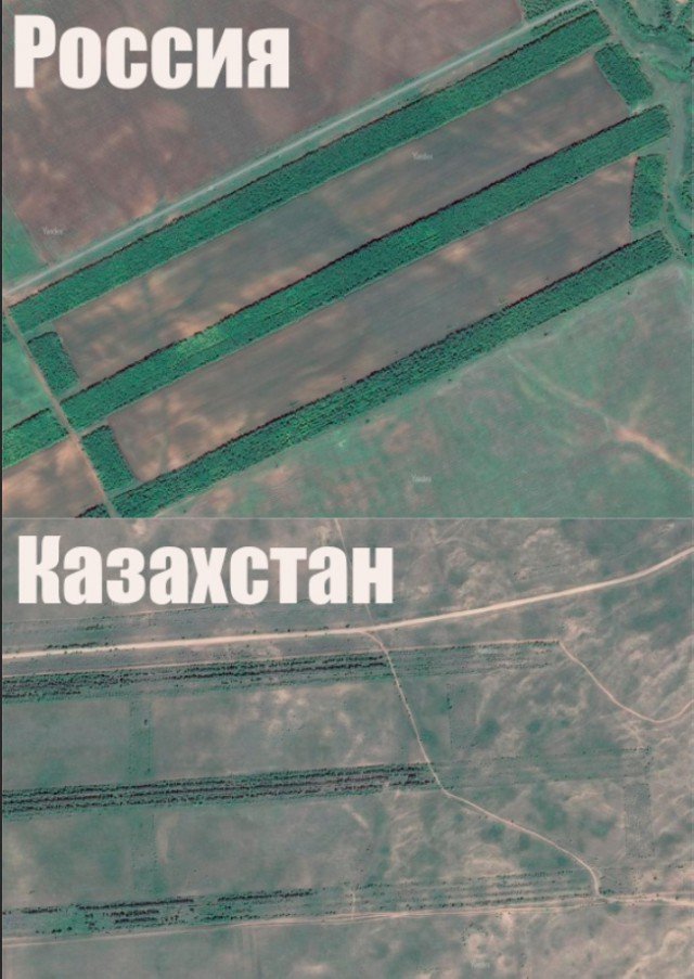 Будет лес для вас, потомки, корабельный будет лес...