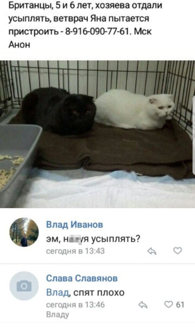 Тёмные силы просыпаются
