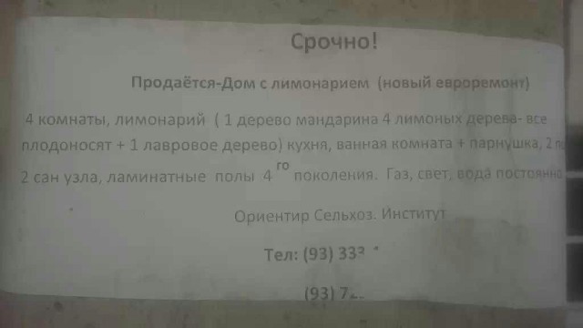 Анекдоты, соц-сети и картинки с надписями
