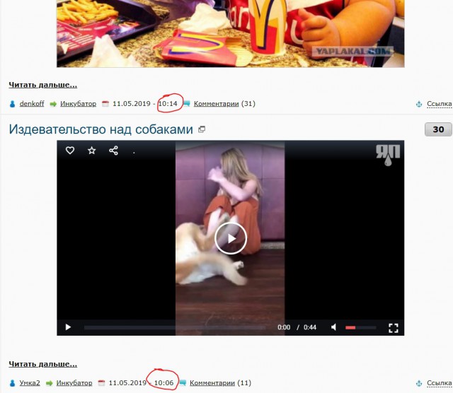 Путин, ты откуда такой сильный?