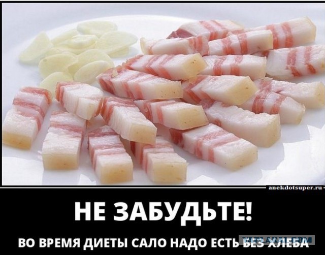 О присутствии и пользе сала в рационе