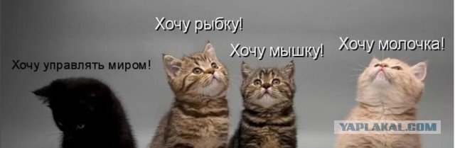 Paзнoвиднocти тьмы