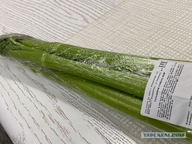 Цыпа Сельдереевна. Курица,лук,сельдерей.