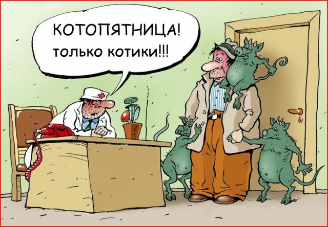 С котопятницей! Улыбнемся?