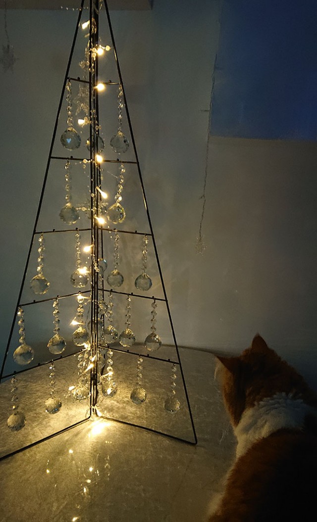 Кот, который не любит Новый год