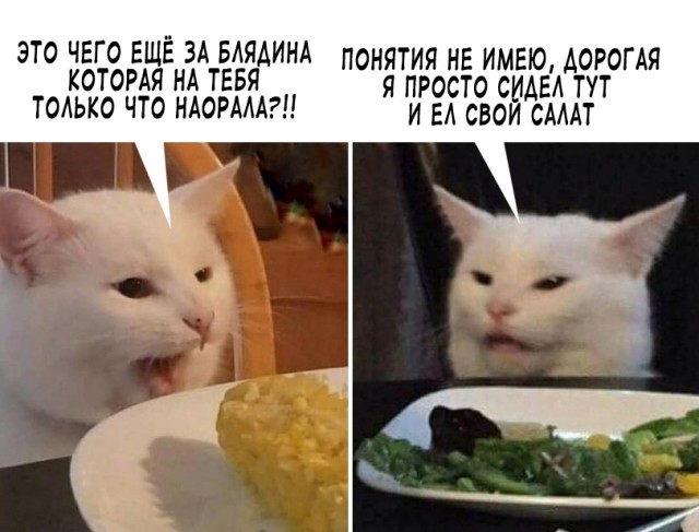 Весёлый полтишок 14.02