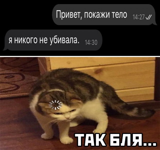 Весёлый полтишок 12.03