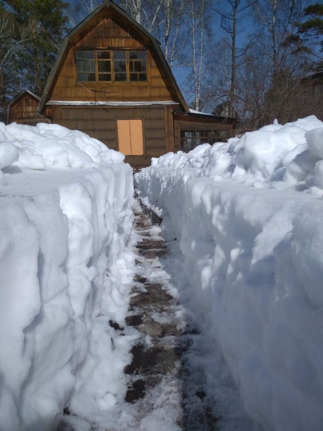 Живу в Красноярске