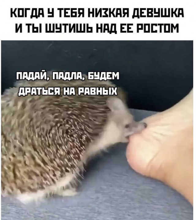 Картинки всякие и аморальные - 10