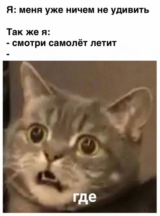 Здесь будет Петербург