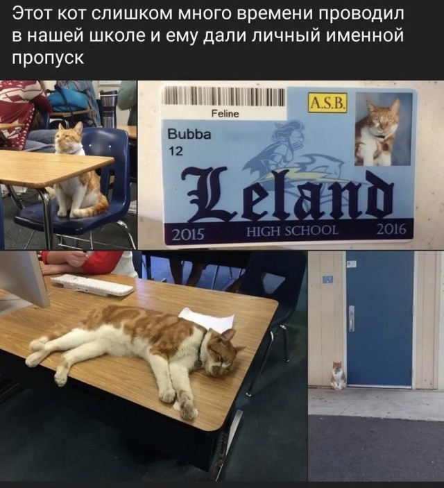 Так себе картинки 17.10.21