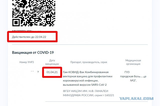 Праздничная новость о QR-кодировании
