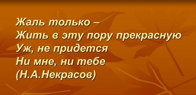 Евродепутат развенчал ФАРМА-МАФИЮ в ЕС прямо в Европарламенте