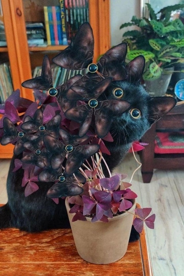 Crazy Art "Новогодний 22"