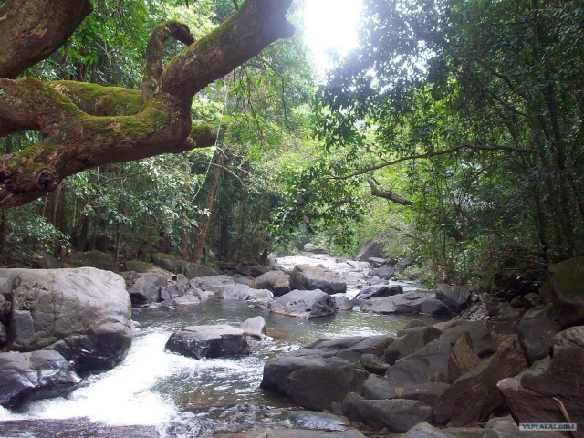 Путешествие по Индии