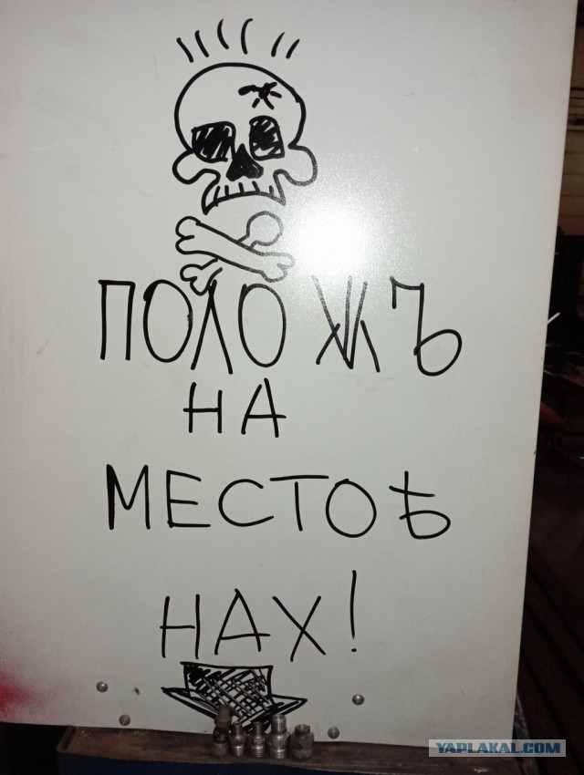Настенная жизнь обычного завода