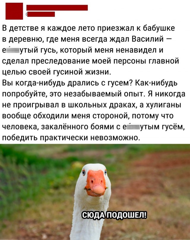 Так себе картинки 03.05.22