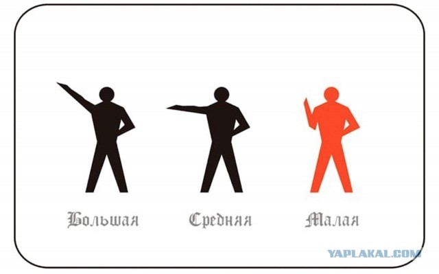 Ведущая Евровидения кинула зигу ?