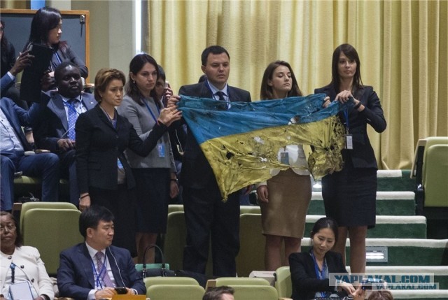 Поляки выразили недовольство обилием украинских флагов