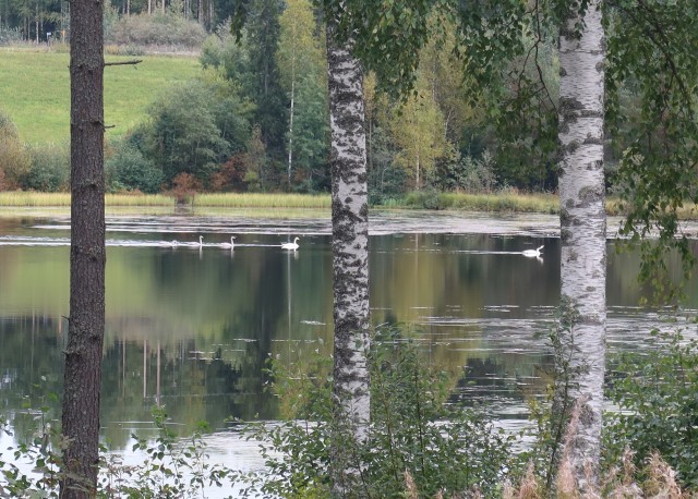 Поделимся красивыми фото с телефона?