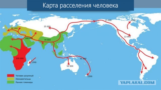 Вы верите учёным? Где мы находимся и кто мы?