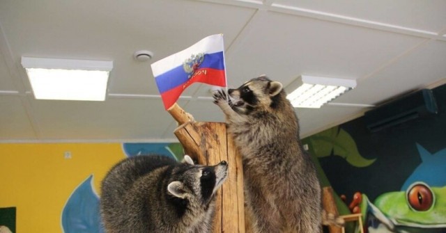"Подобру-поздорову"